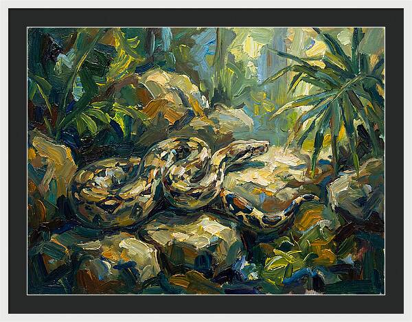 Boa Constrictor In Lush Habitat
