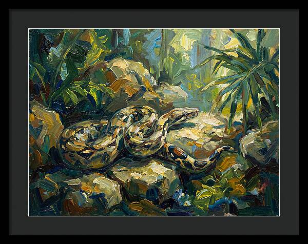 Boa Constrictor In Lush Habitat