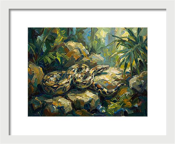Boa Constrictor In Lush Habitat