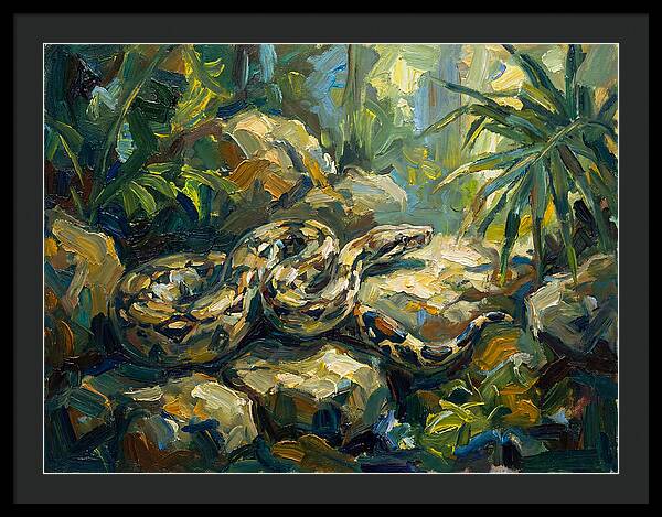 Boa Constrictor In Lush Habitat