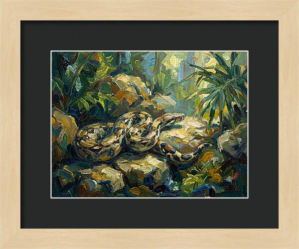 Boa Constrictor In Lush Habitat