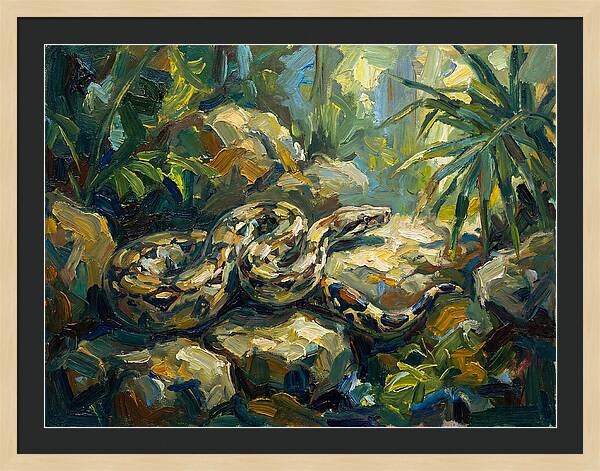 Boa Constrictor In Lush Habitat