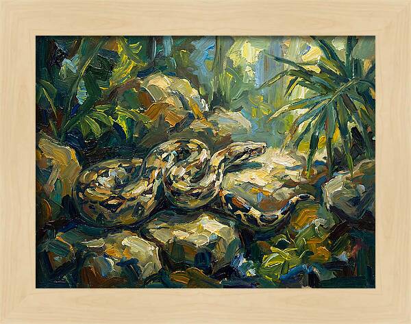 Boa Constrictor In Lush Habitat