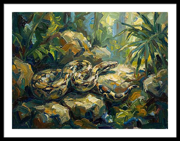 Boa Constrictor In Lush Habitat
