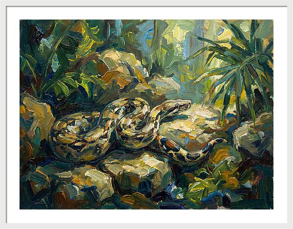 Boa Constrictor In Lush Habitat