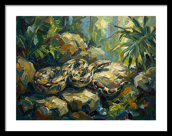 Boa Constrictor In Lush Habitat