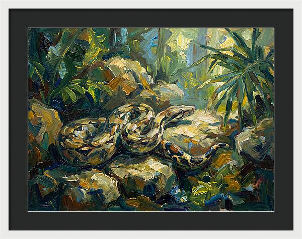 Boa Constrictor In Lush Habitat