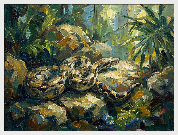 Boa Constrictor In Lush Habitat