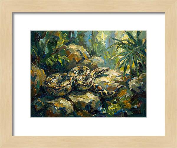 Boa Constrictor In Lush Habitat