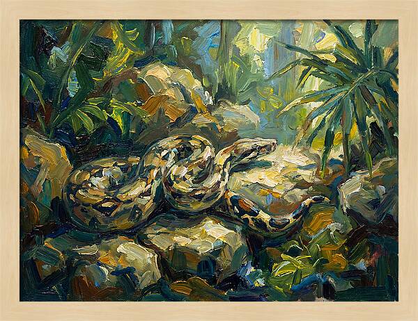 Boa Constrictor In Lush Habitat