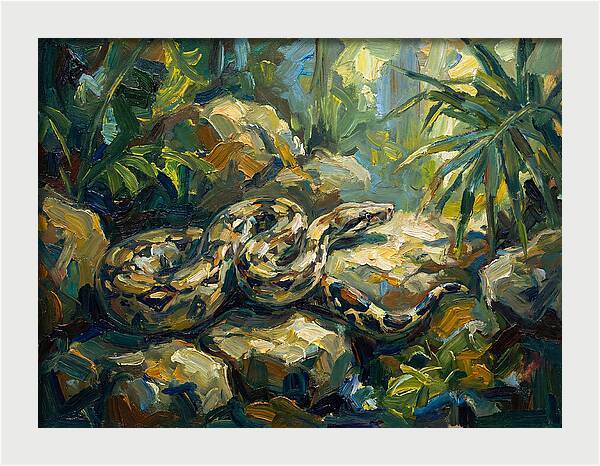 Boa Constrictor In Lush Habitat