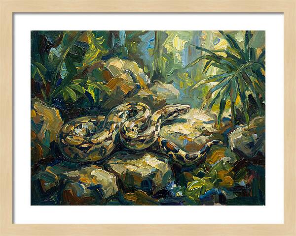 Boa Constrictor In Lush Habitat