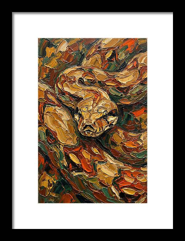 Boa Constrictor In Nature