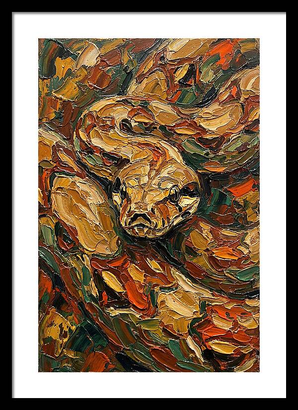 Boa Constrictor In Nature