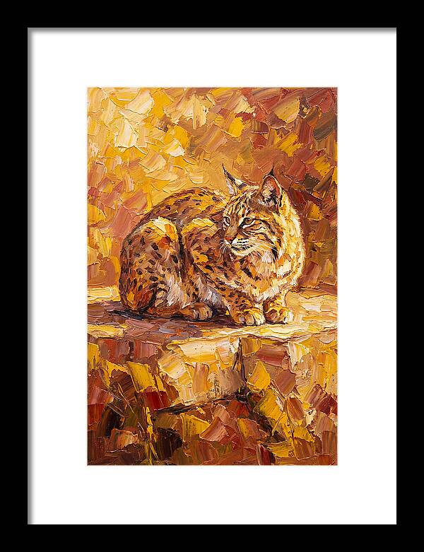 Bobcat In Golden Hues