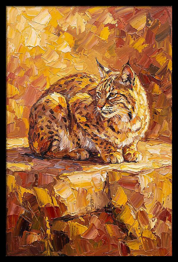Bobcat In Golden Hues