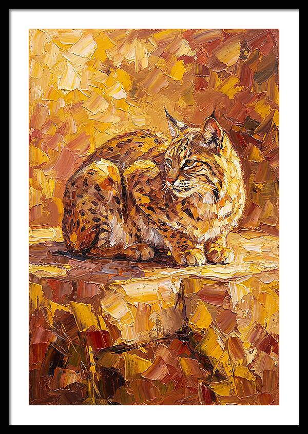Bobcat In Golden Hues