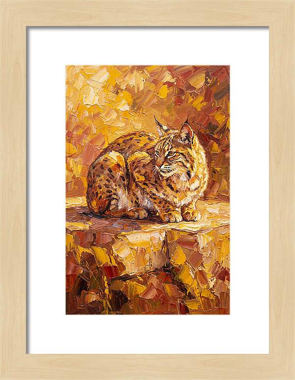 Bobcat In Golden Hues
