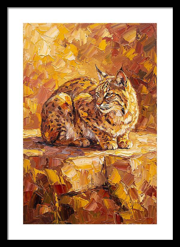 Bobcat In Golden Hues