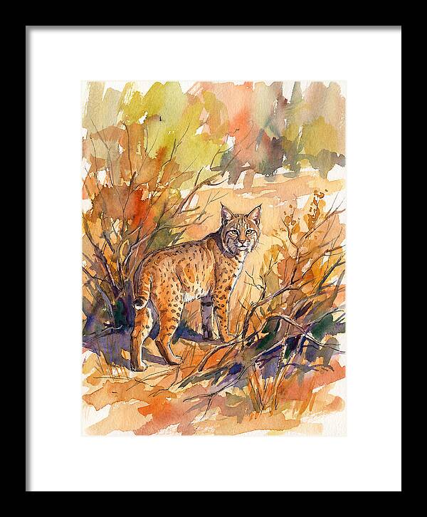 Bobcat In Natural Habitat