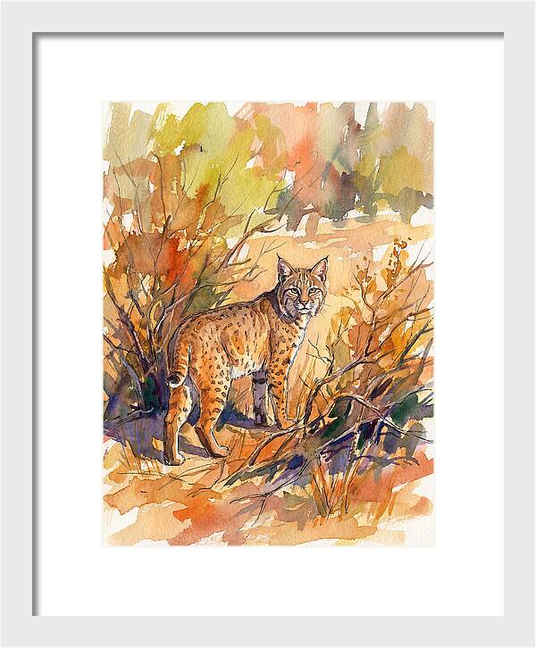 Bobcat In Natural Habitat
