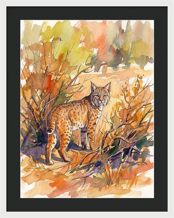 Bobcat In Natural Habitat
