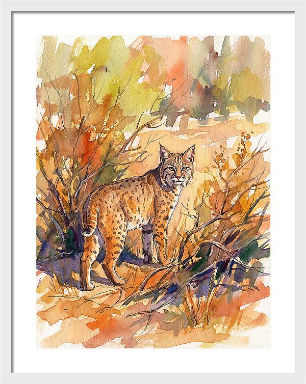 Bobcat In Natural Habitat