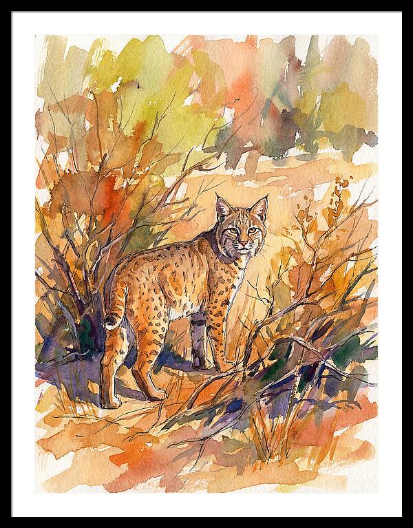 Bobcat In Natural Habitat