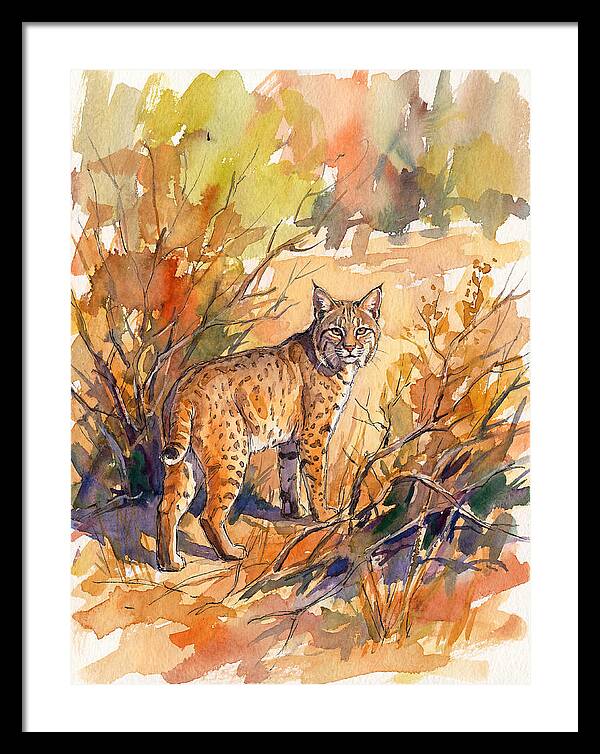 Bobcat In Natural Habitat