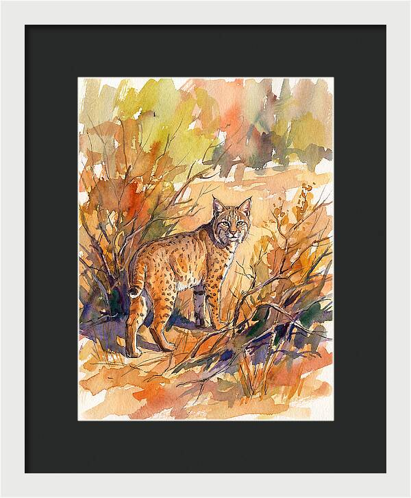 Bobcat In Natural Habitat