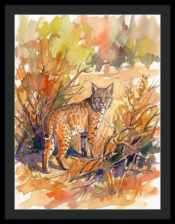 Bobcat In Natural Habitat