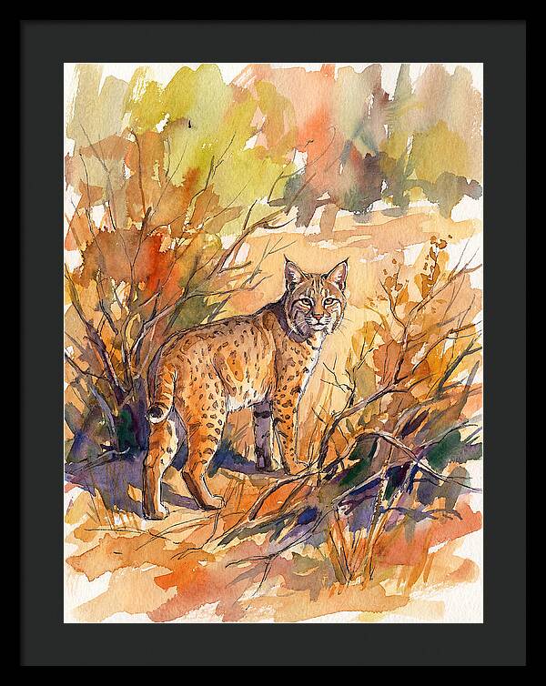 Bobcat In Natural Habitat