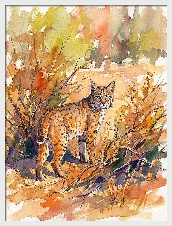 Bobcat In Natural Habitat