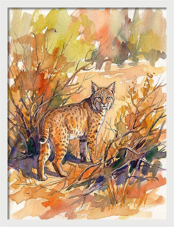 Bobcat In Natural Habitat