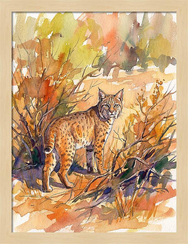 Bobcat In Natural Habitat