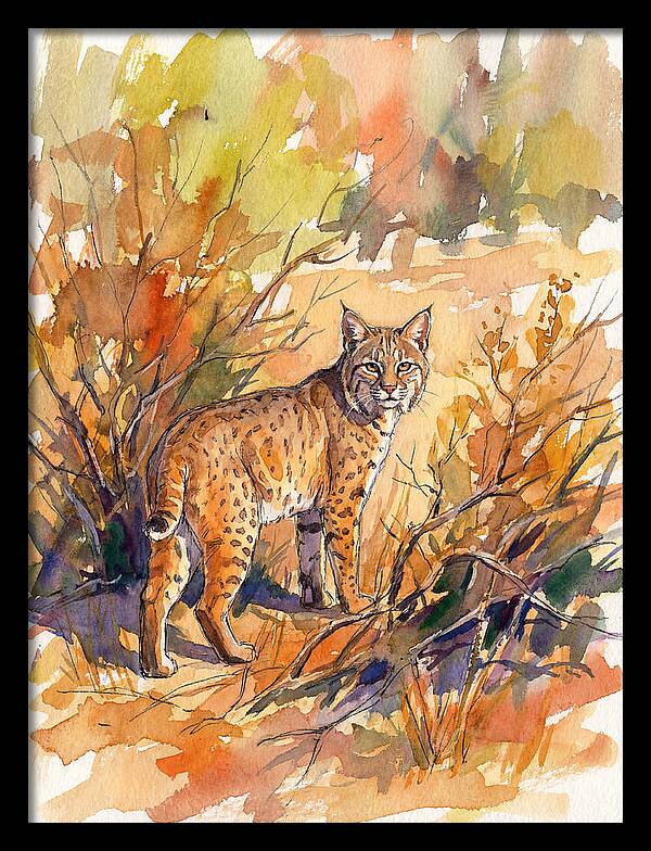 Bobcat In Natural Habitat