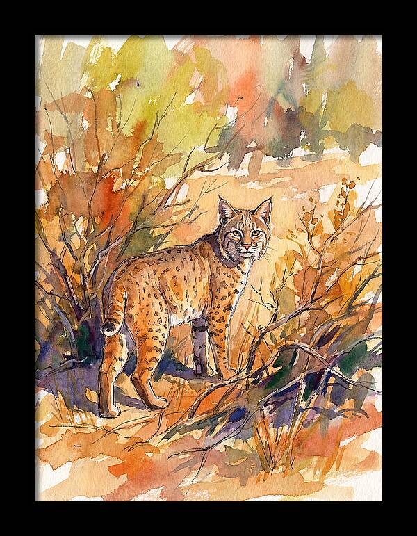 Bobcat In Natural Habitat