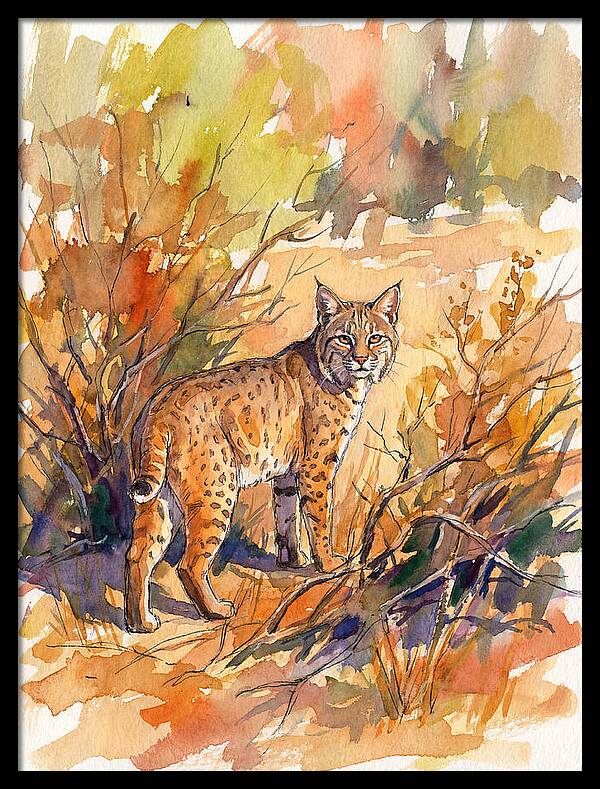 Bobcat In Natural Habitat