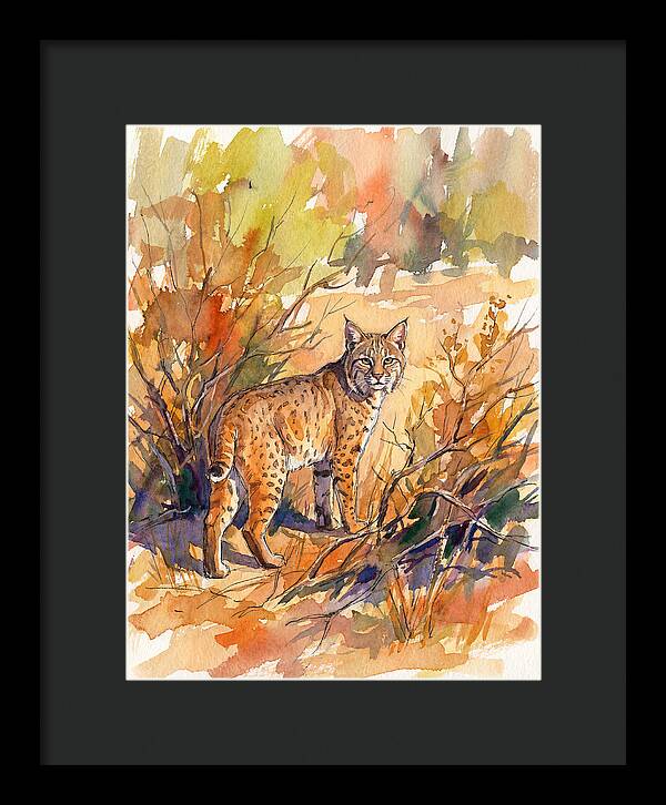 Bobcat In Natural Habitat