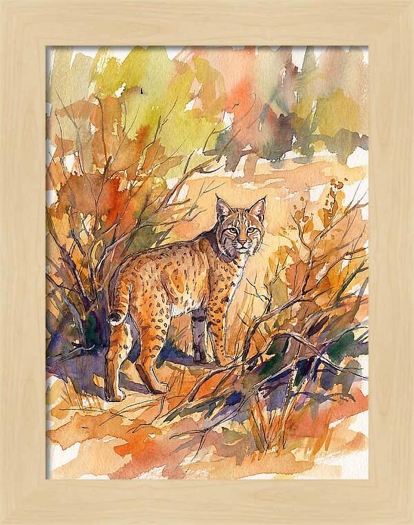 Bobcat In Natural Habitat