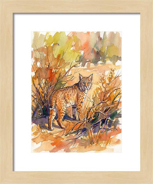 Bobcat In Natural Habitat