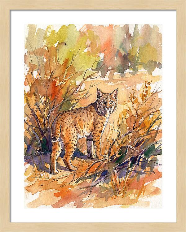 Bobcat In Natural Habitat