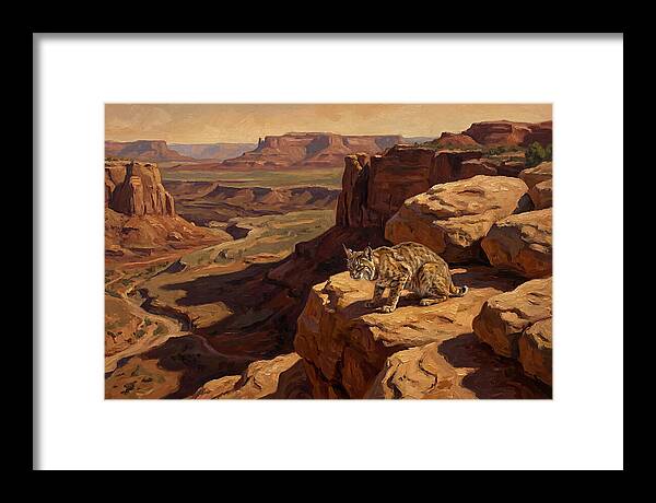 Bobcat On Sandstone Ledge