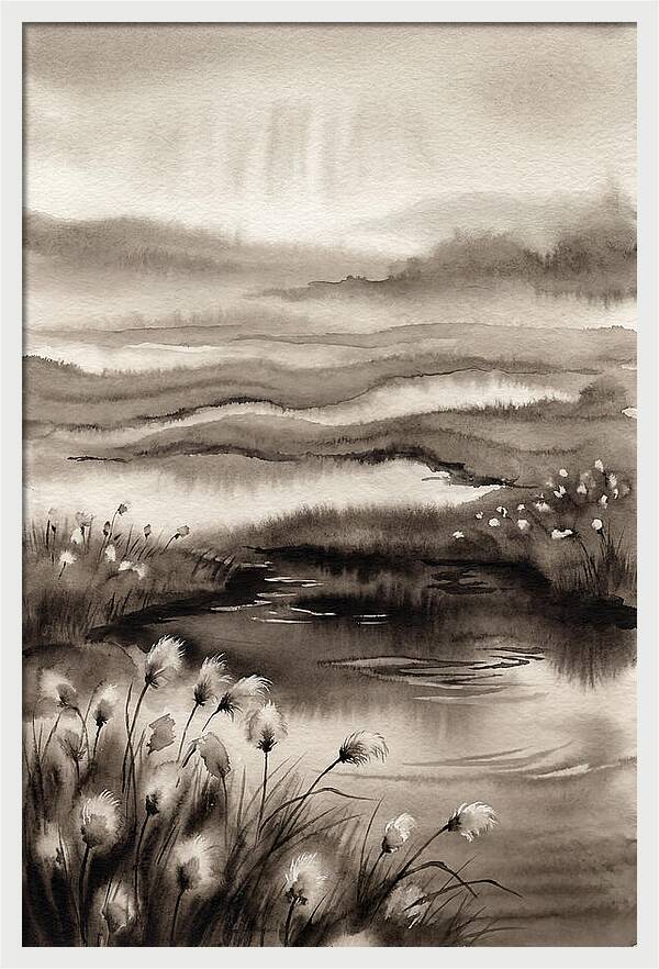 Bog Lake Serenity
