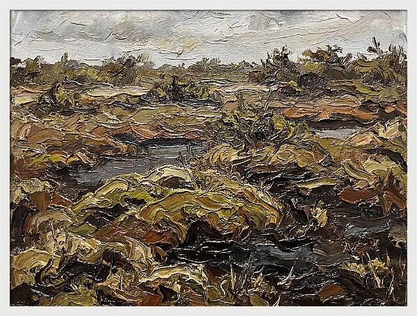 Bog Landscape In Earthy Tones