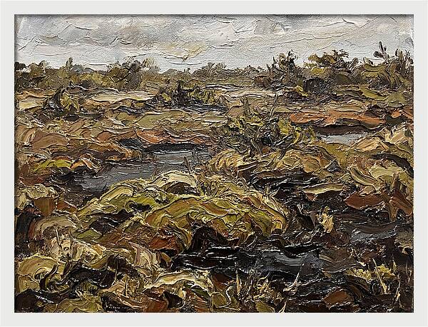 Bog Landscape In Earthy Tones