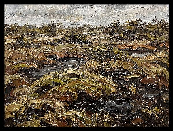 Bog Landscape In Earthy Tones