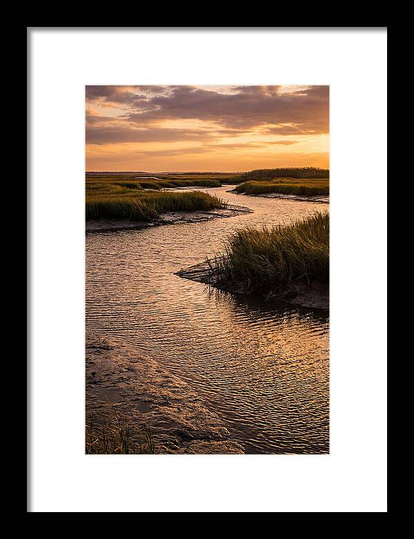 Bombay Hook Marshes Serenity