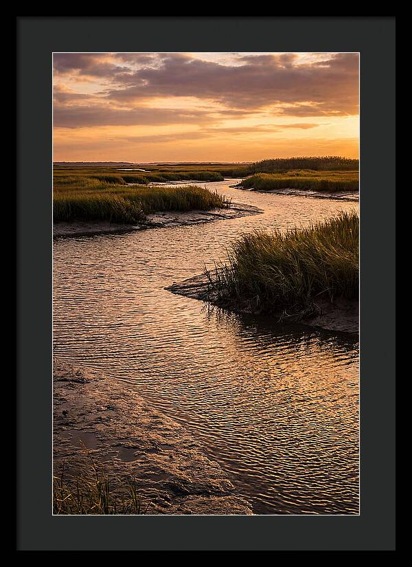 Bombay Hook Marshes Serenity