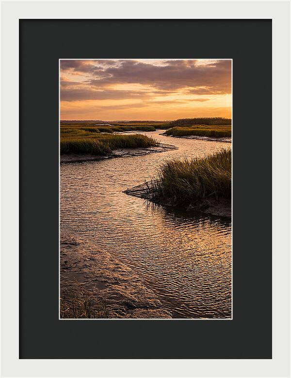 Bombay Hook Marshes Serenity